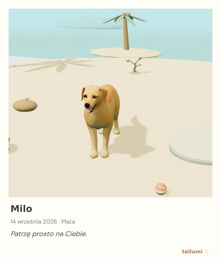 Złoty pies Milo na plaży w Tailumi